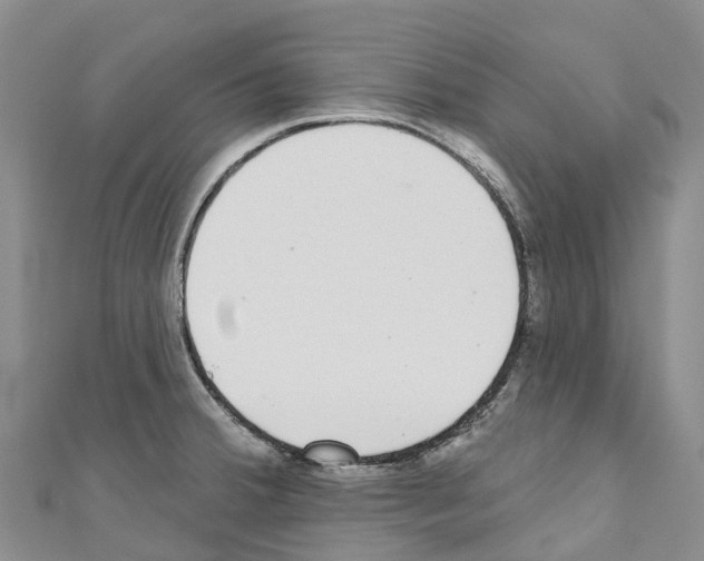 X0000110721380200907241157