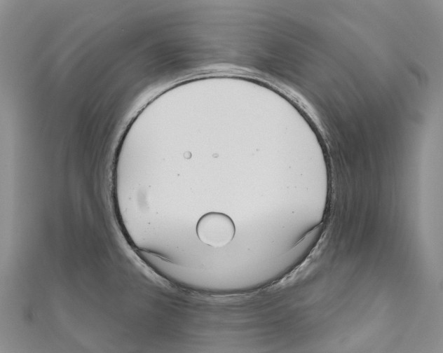 X0000110721381200907241157