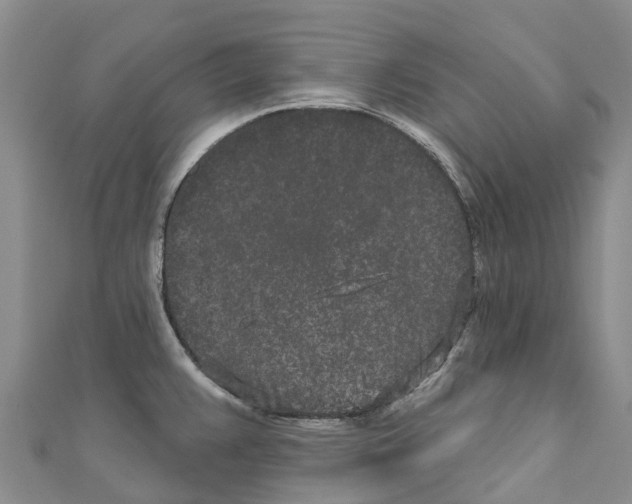 X0000110721383200907241157