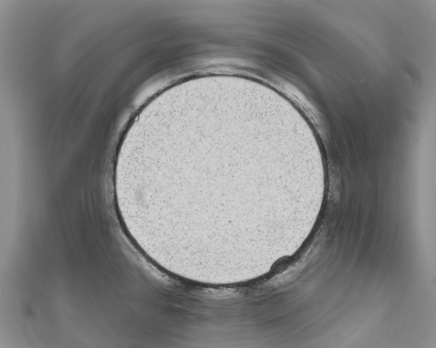 X0000110721384200907241157