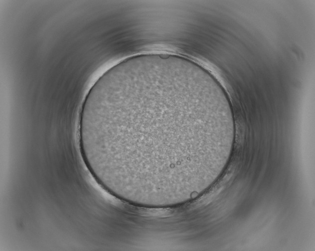 X0000110721387200907241157