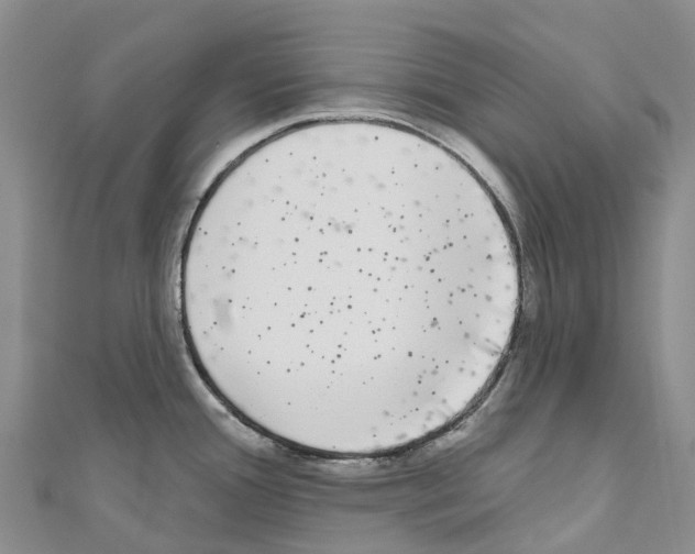 X0000110721388200907241157