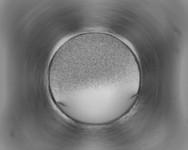 X0000110721389200907241157