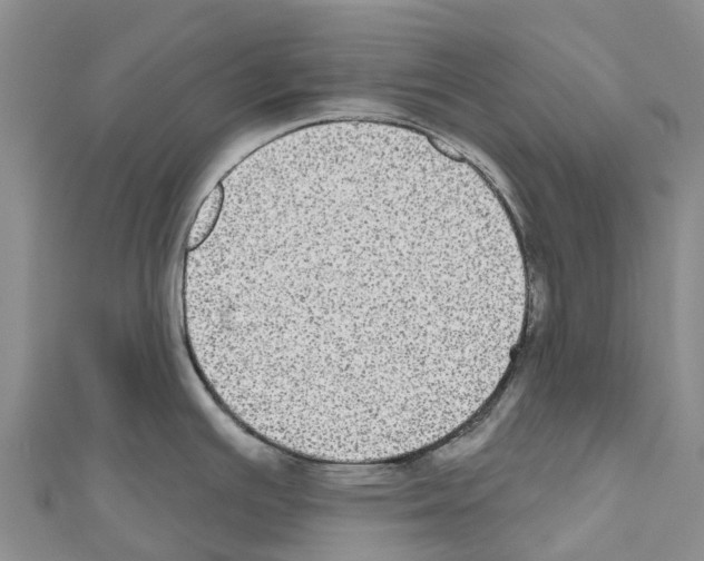 X0000110721391200907241157