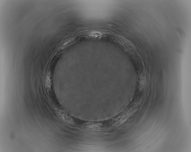 X0000110721394200907241157