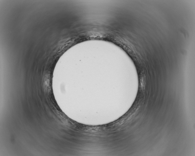 X0000110721396200907241157