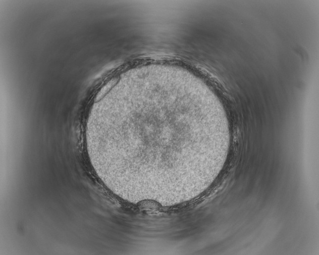 X0000110721398200907241157