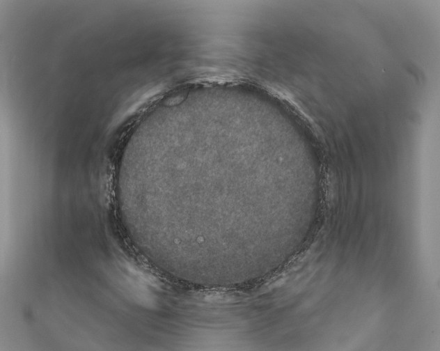 X0000110721399200907241157