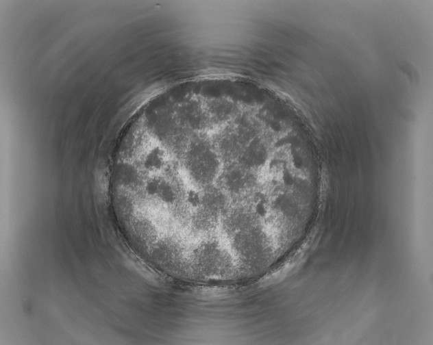 X0000110721401200907241157