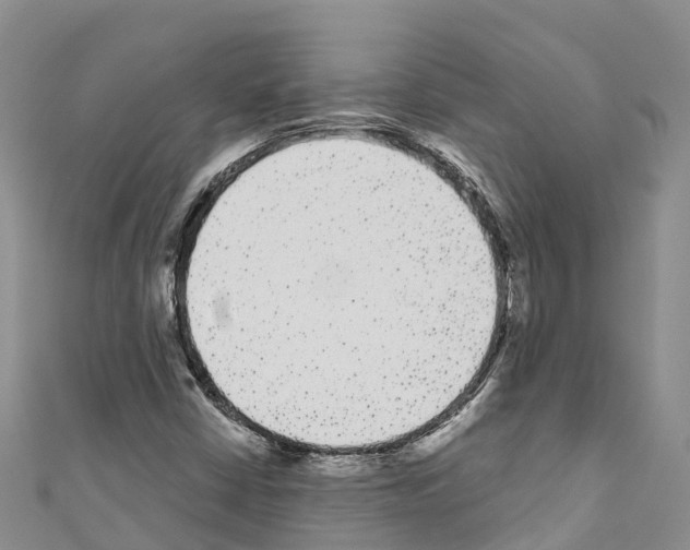 X0000110721402200907241157