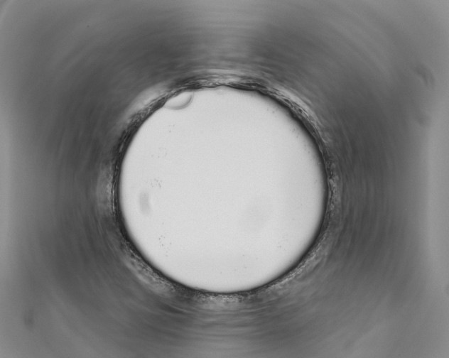 X0000110721403200907241157