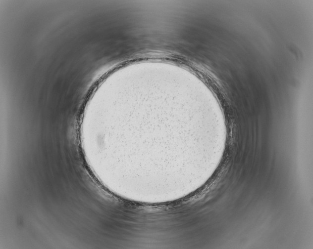 X0000110721404200907241157