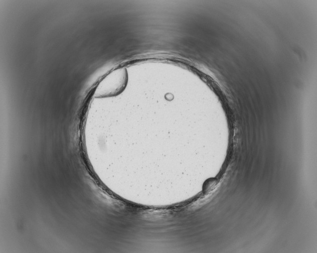 X0000110721406200907241157