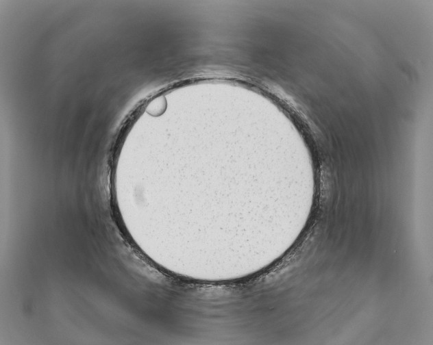 X0000110721408200907241157