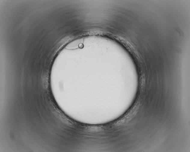 X0000110721409200907241157