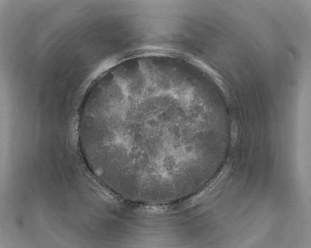 X0000110721411200907241157