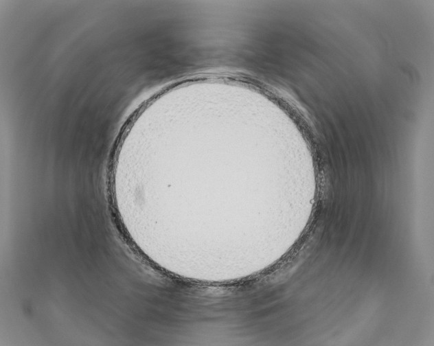 X0000110721412200907241157