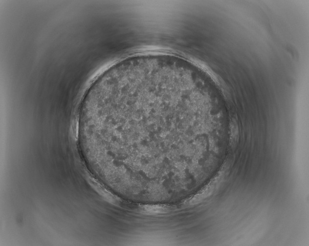 X0000110721413200907241157