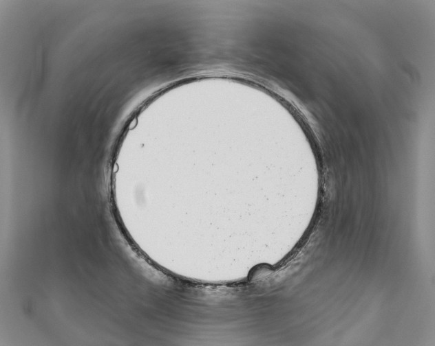 X0000110721416200907241157