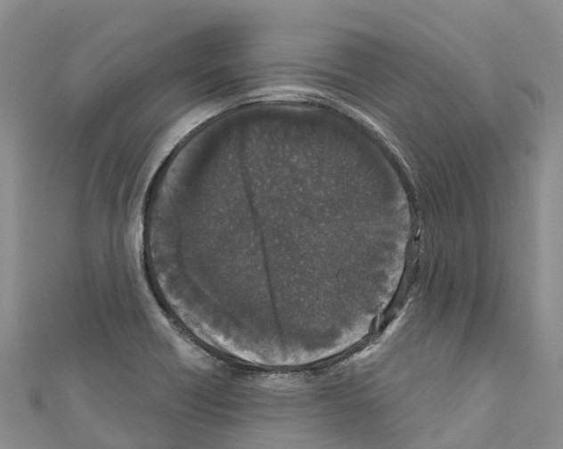 X0000110721418200907241157