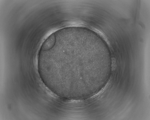 X0000110721419200907241157