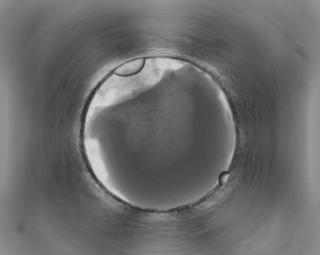 X0000110721422200907241157