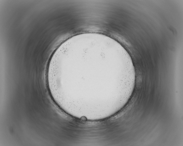 X0000110721423200907241157