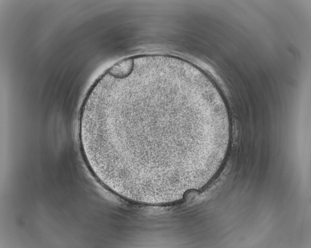 X0000110721424200907241157