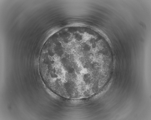 X0000110721425200907241157