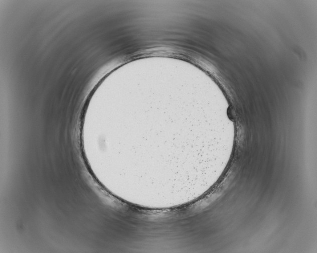 X0000110721426200907241157