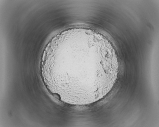 X0000110721429200907241157