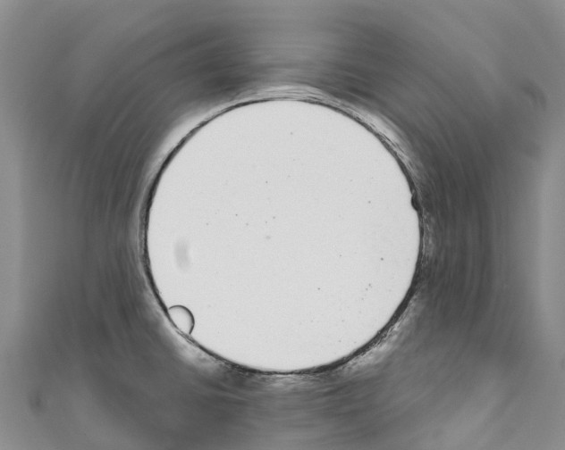 X0000110721430200907241157