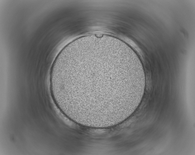 X0000110721431200907241157