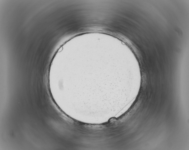 X0000110721432200907241157