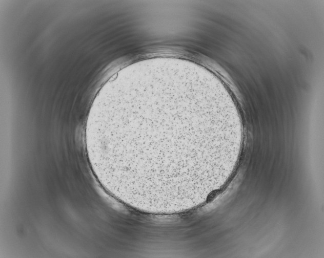 X0000110721433200907241157