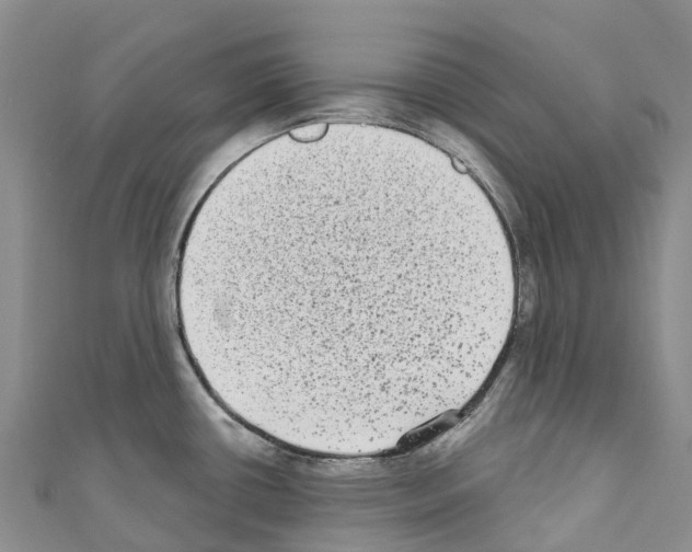 X0000110721434200907241157