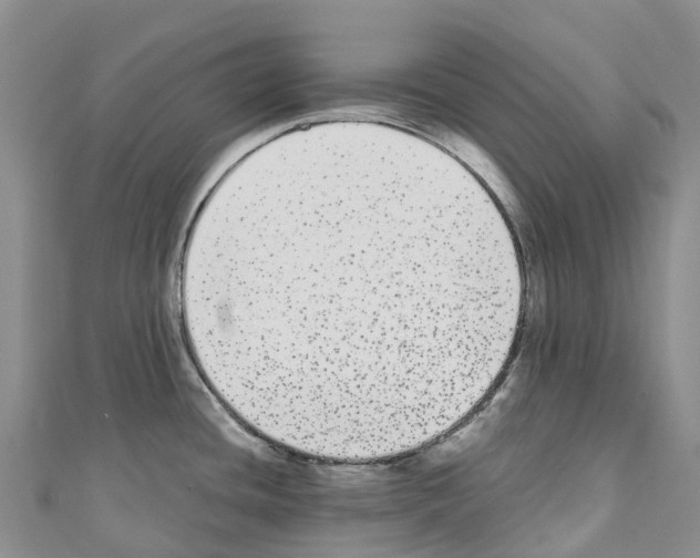 X0000110721436200907241157