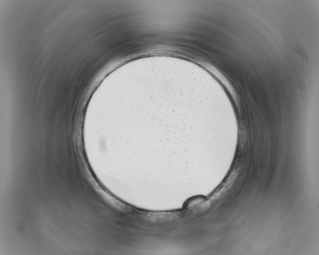 X0000110721437200907241157