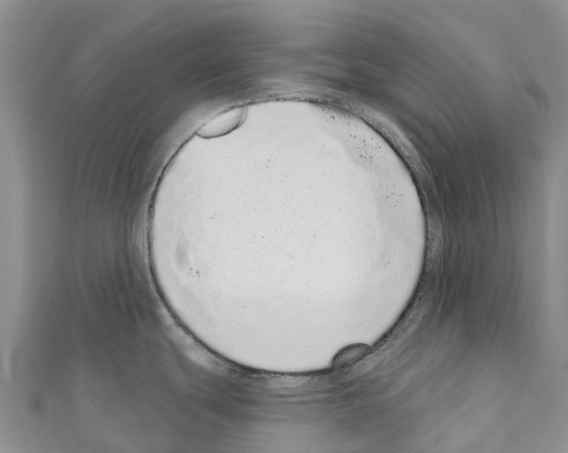 X0000110721439200907241157