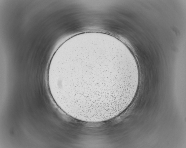 X0000110721440200907241157