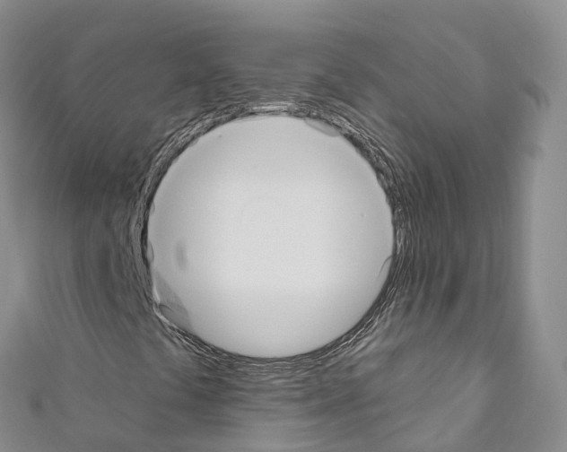 X0000110721441200907241157