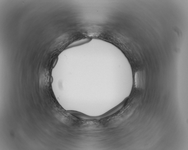 X0000110721443200907241157