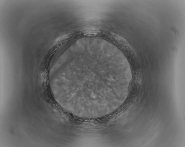 X0000110721445200907241157