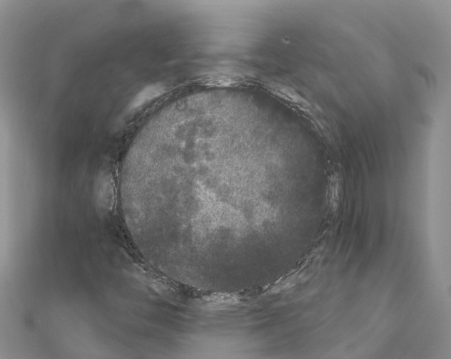 X0000110721446200907241156