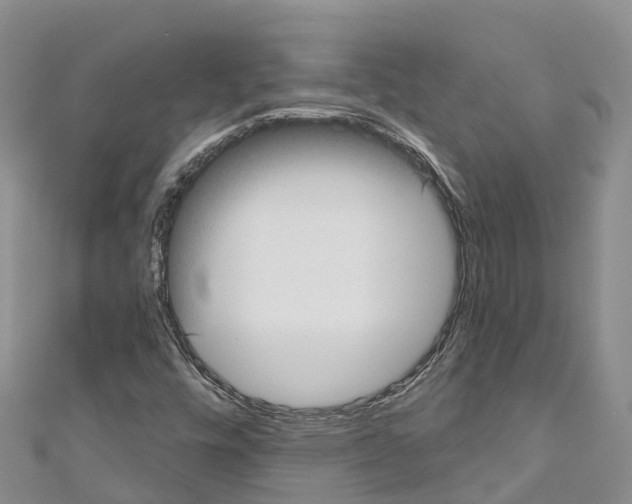 X0000110721448200907241156