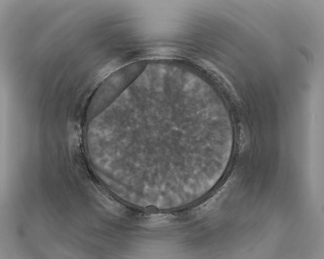 X0000110721449200907241156