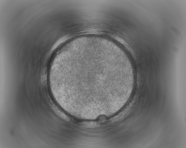 X0000110721450200907241156