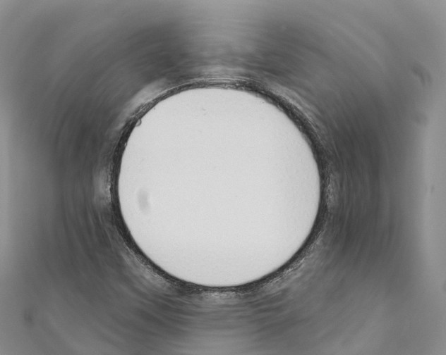 X0000110721451200907241156