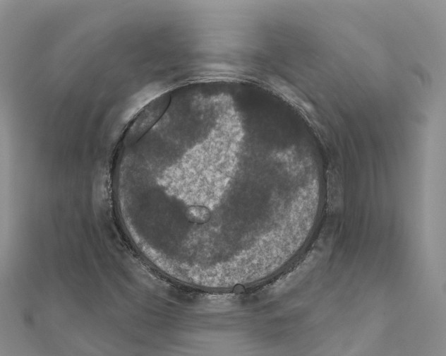 X0000110721453200907241156