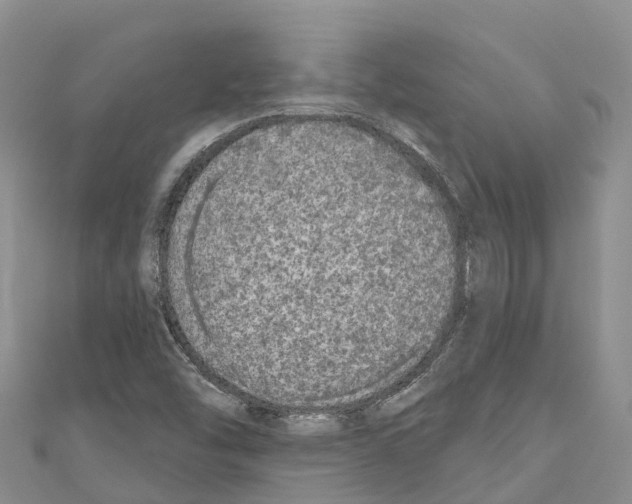 X0000110721454200907241156